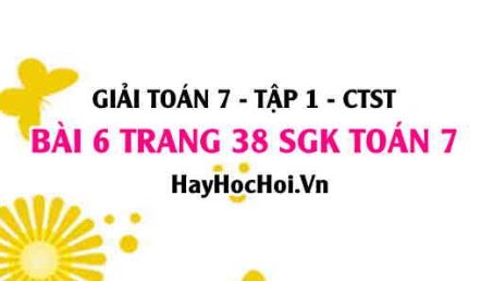 Giải bài 6 trang 38 Toán 7 Tập 1 SGK Chân trời sáng tạo